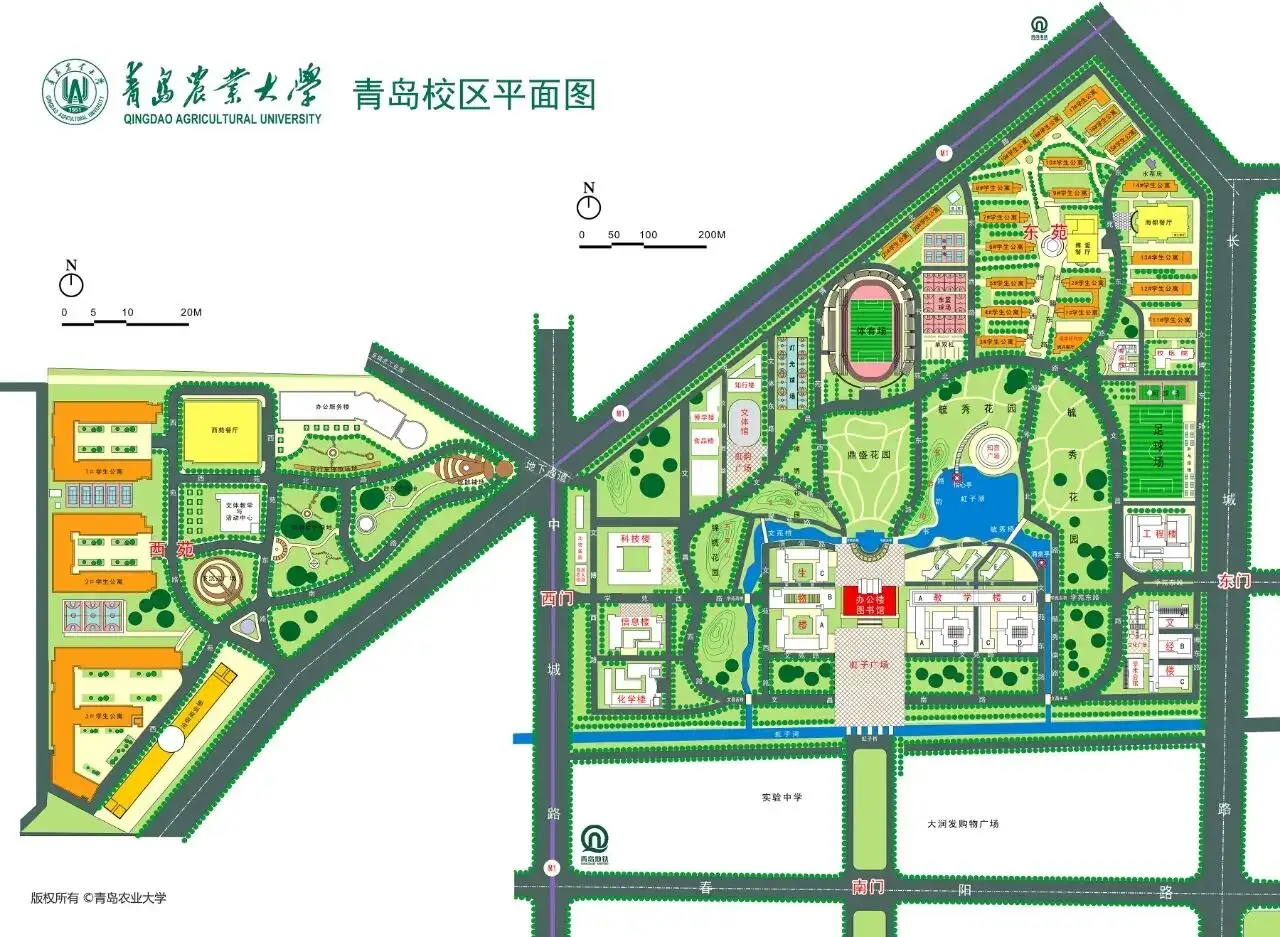青岛校区地图